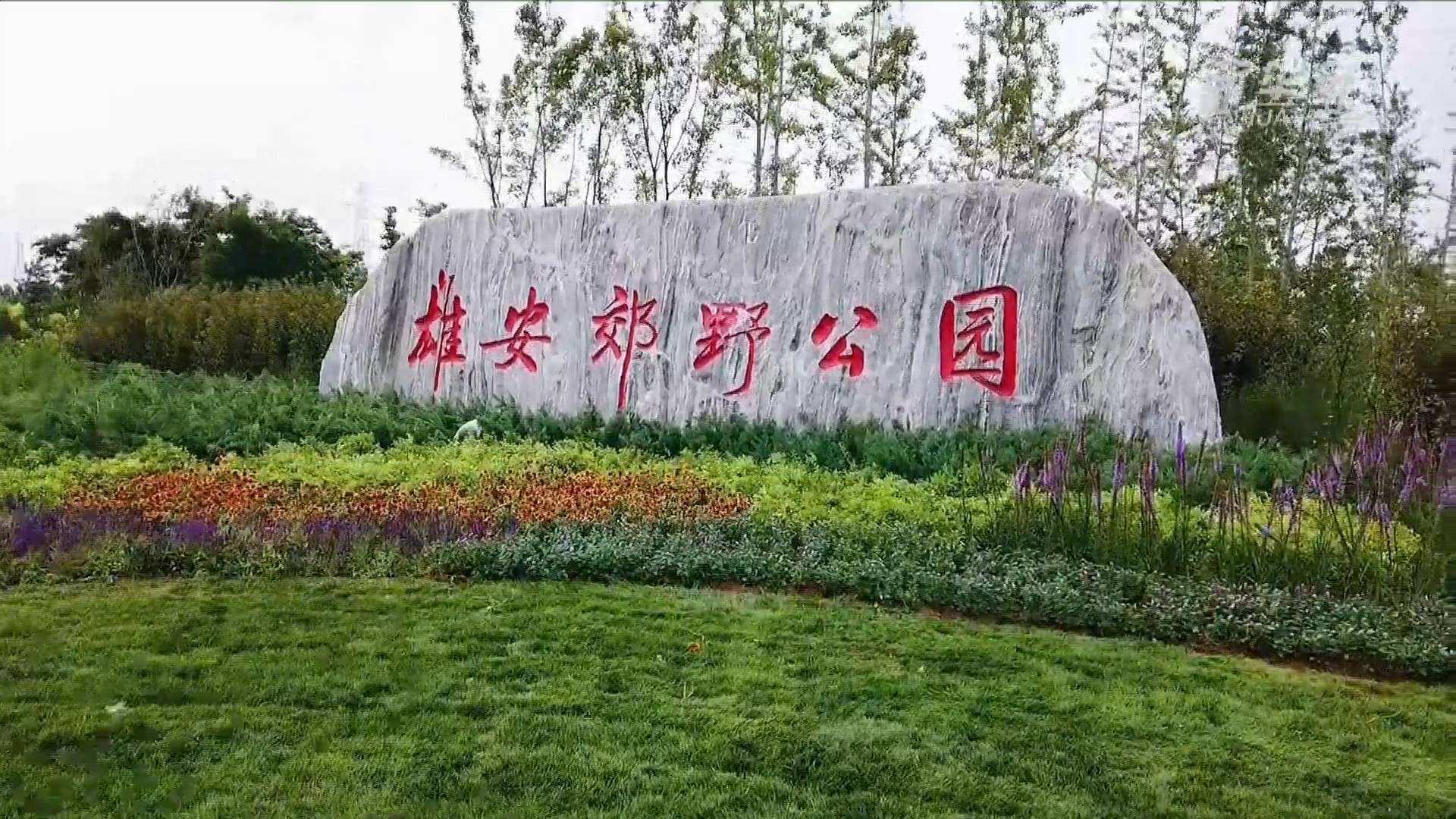 币博·(中国)电气雄安郊野公园建设工程及配套设施项目